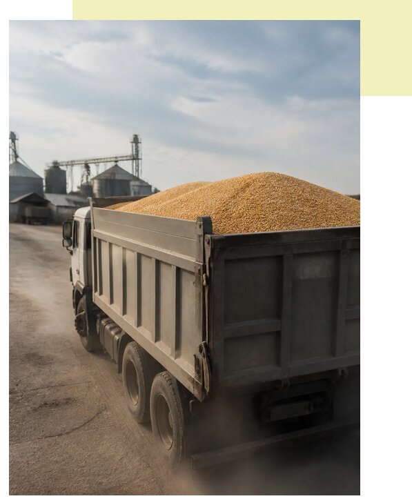 Перевозка сельхозпродукции навалом в Отрадного по цене от 3261 р. | Агросервис-Трд